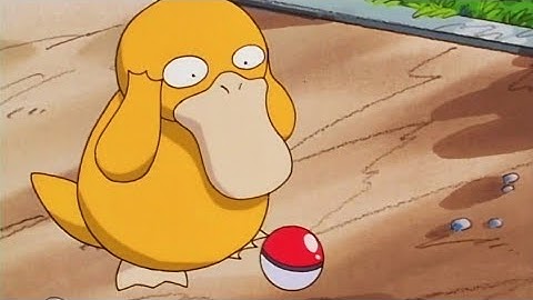 Misty catches a Psyduck