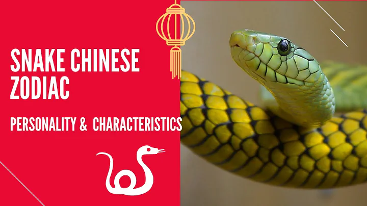 SNAKE CHINESE ZODIAC : PERSONALITY & CHARACTERISTICS - DayDayNews