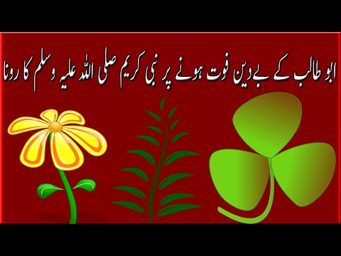 ابو طالب کے بےدین فوت ہونے پر نبی کریم صلی اللہ علیہ وسلم کا رونا