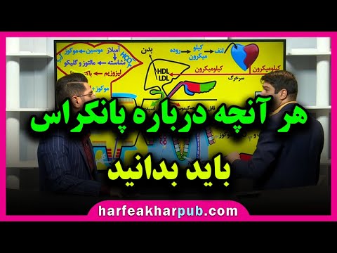 تصویری: آنچه باید درباره غذای سگ برای لوزالمعده بدانید