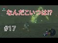 【ゼルダの伝説 ブレスオブザワイルド】実況 #17 防寒着をGETだ！