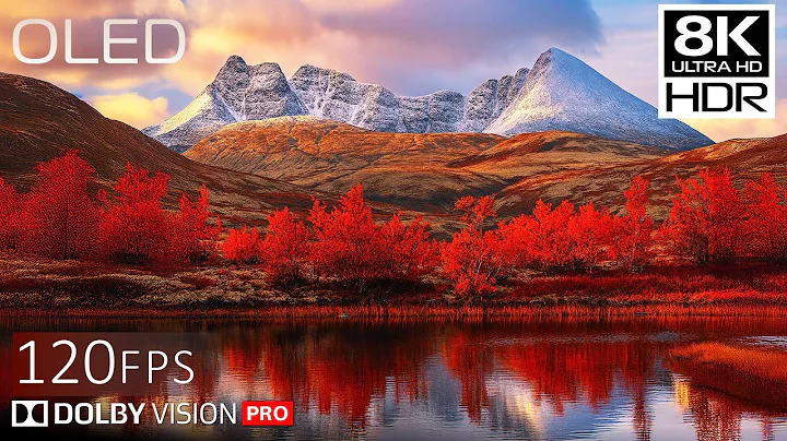 JAW-DROPPING Colors & Clarity – Dolby Vision™ 8K HDR on OLED
