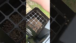 Pit boss pb1020dx pellet grill