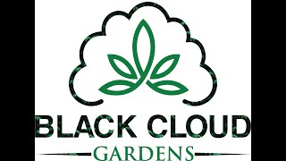 Indoor Medical Cannabis Grow Room Equipment Walk Through