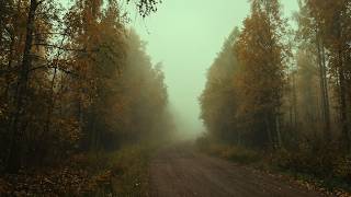 a path to walk when you feel lost inside...