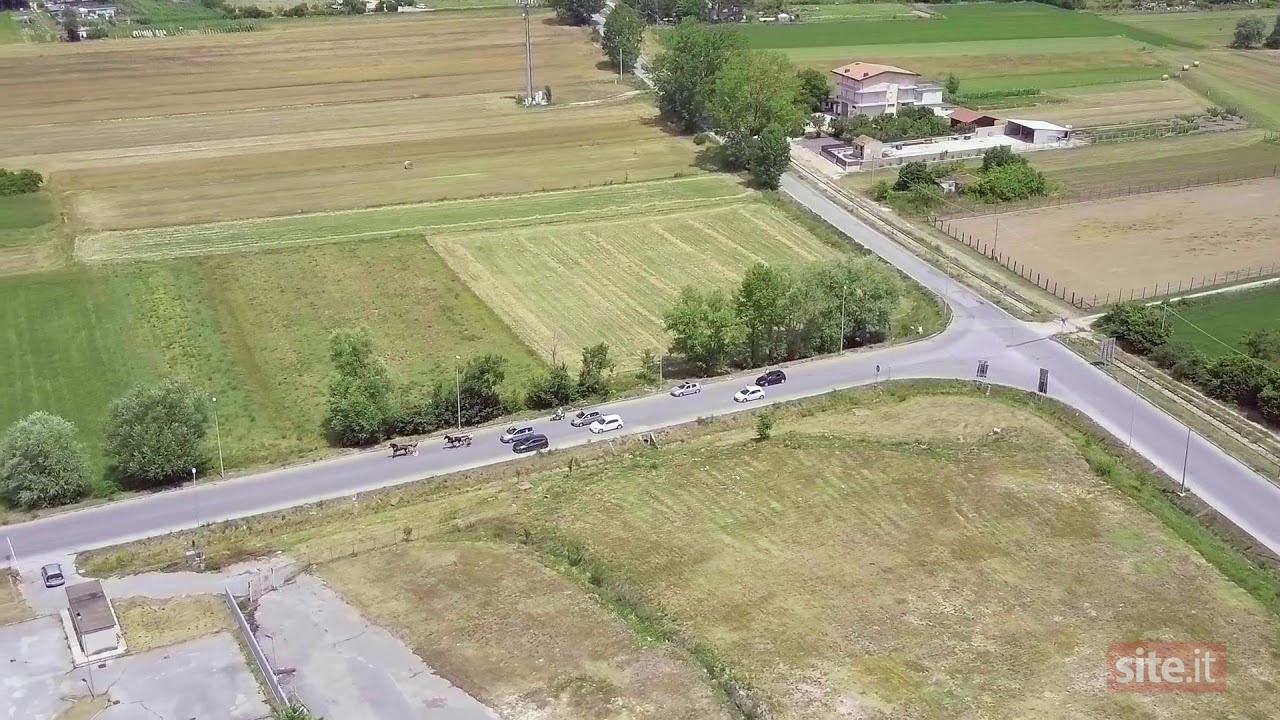 Avezzano post Covid - Ripartenza corse ippiche clandestine