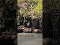 "POV: You found the perfect spot to forget your stress."