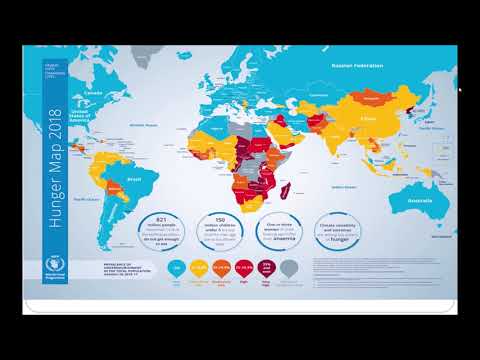 Wideo: Sposoby rozwiązania problemu z jedzeniem. Geografia głodu. Program żywnościowy ONZ