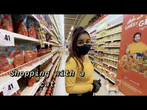 Vlog l Shoppping with a cat!!!! MOHAK MEET l