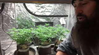 Time to Turn Em Loose - Seed to Self Check In
