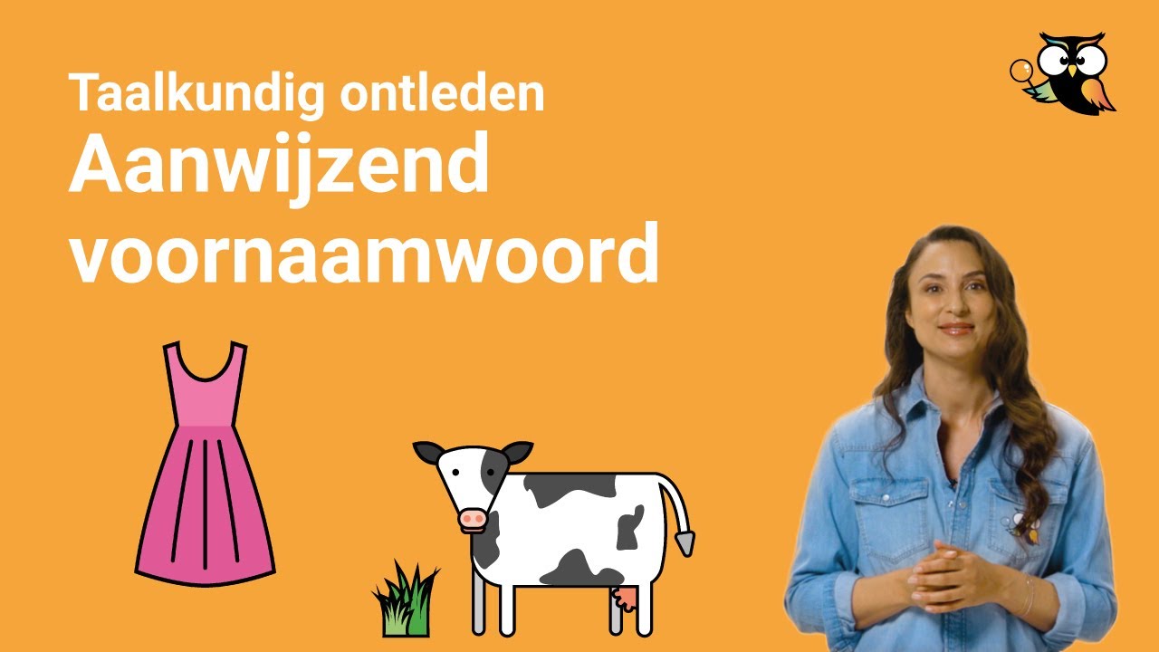Wat is een aanwijzend voornaamwoord? (uitleg)