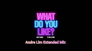 Bizzy Crook, Ty Dolla $ign - What Do You Like (Andre Lim Extended Mix)