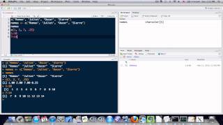 Celebrity R Programming Tutorial Lesson 4: Vectors Profile