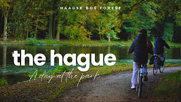 Discover The Hague’s Hidden Gem ?? Inhabiting the Moment at Haagse Bos ???? Netherlands Vlog pt. 2
