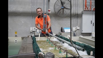 EMRO Electroplating Line