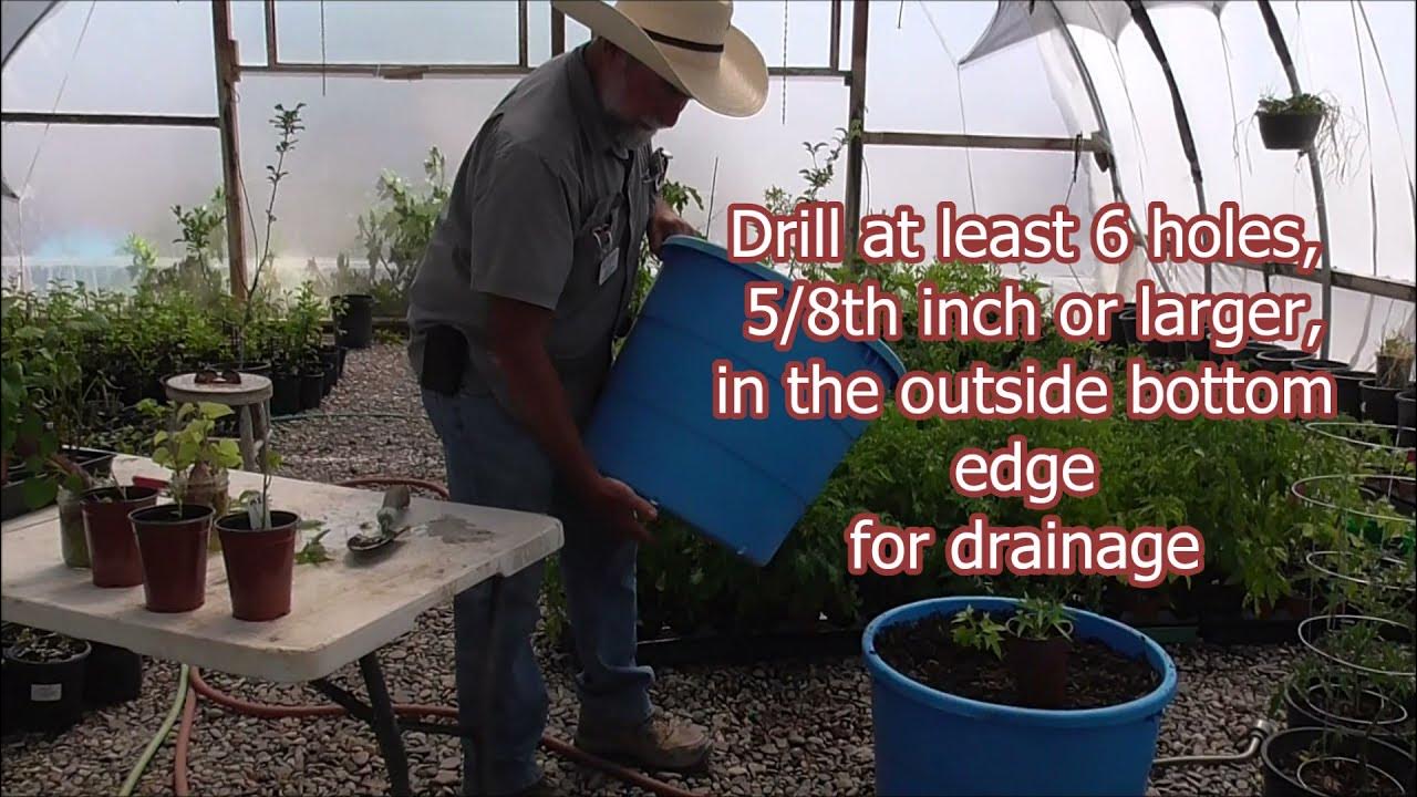 CONTAINER GARDENING - “Lick Tubs” - Awesome Way to Garden and Grow Your
