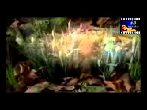 تلاوه للشيخ محمد البخيت ما تيسر سوره الشعراء 