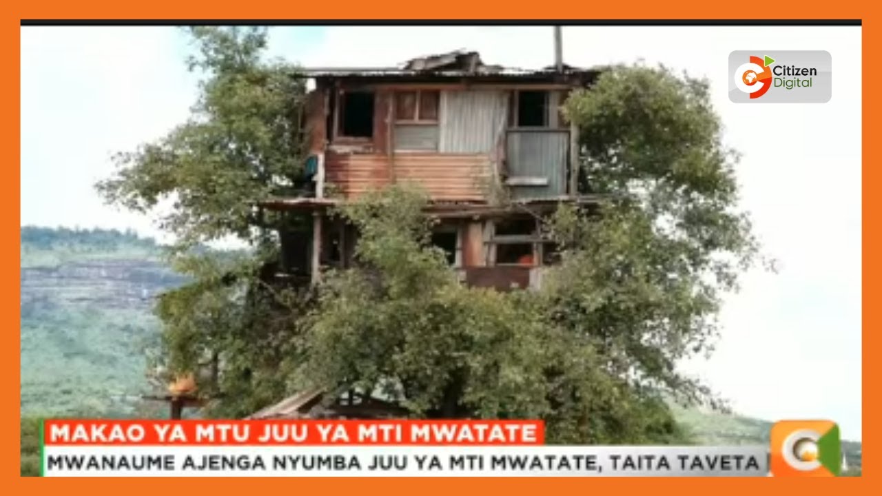 Mwanaume ajenga nyumba juu ya mti Mwatate, Taita Taveta