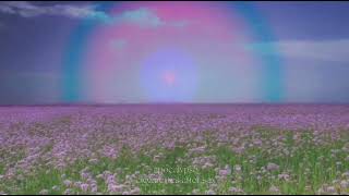 apocalypse…speed up!