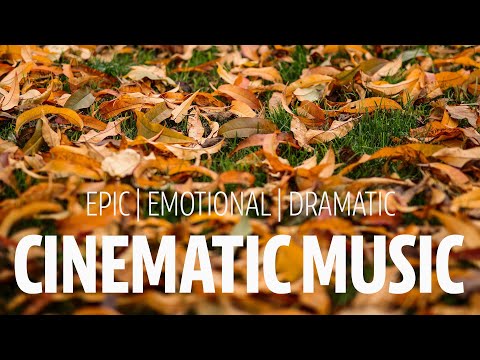 Epic Cinematic Music A Heart That Remembers Royalty Free For YouTube Films Ads By Audioknap 