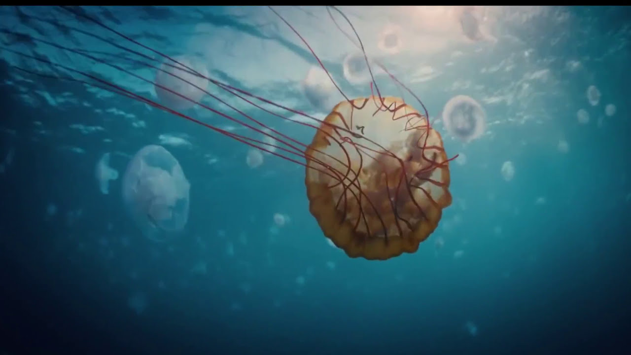 Smoke In Half Note - Four Seasons