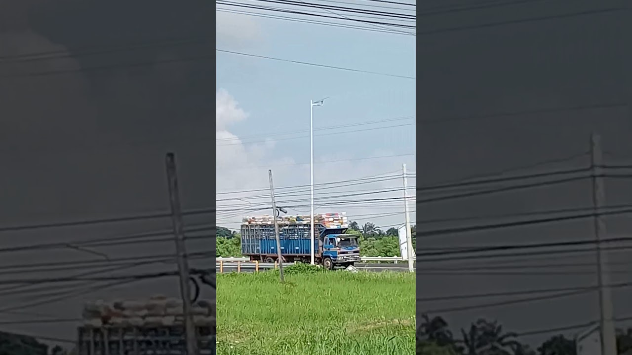 ICE DELIVERY TRUCK  |  HAULER TRUCK  |  LIVE CHICKEN DELIVERY TRUCK