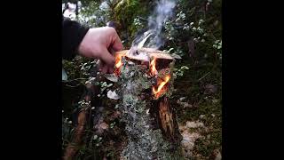 Winter Bushcraft Hike in the Northern Wilderness — Canvas Lavvu & Swedish Torch Cooking in the Snow