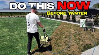 Do These 5 Things to Your Lawn RIGHT NOW