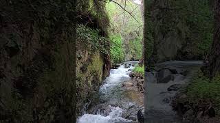 Nature Trail Kakopetria.
