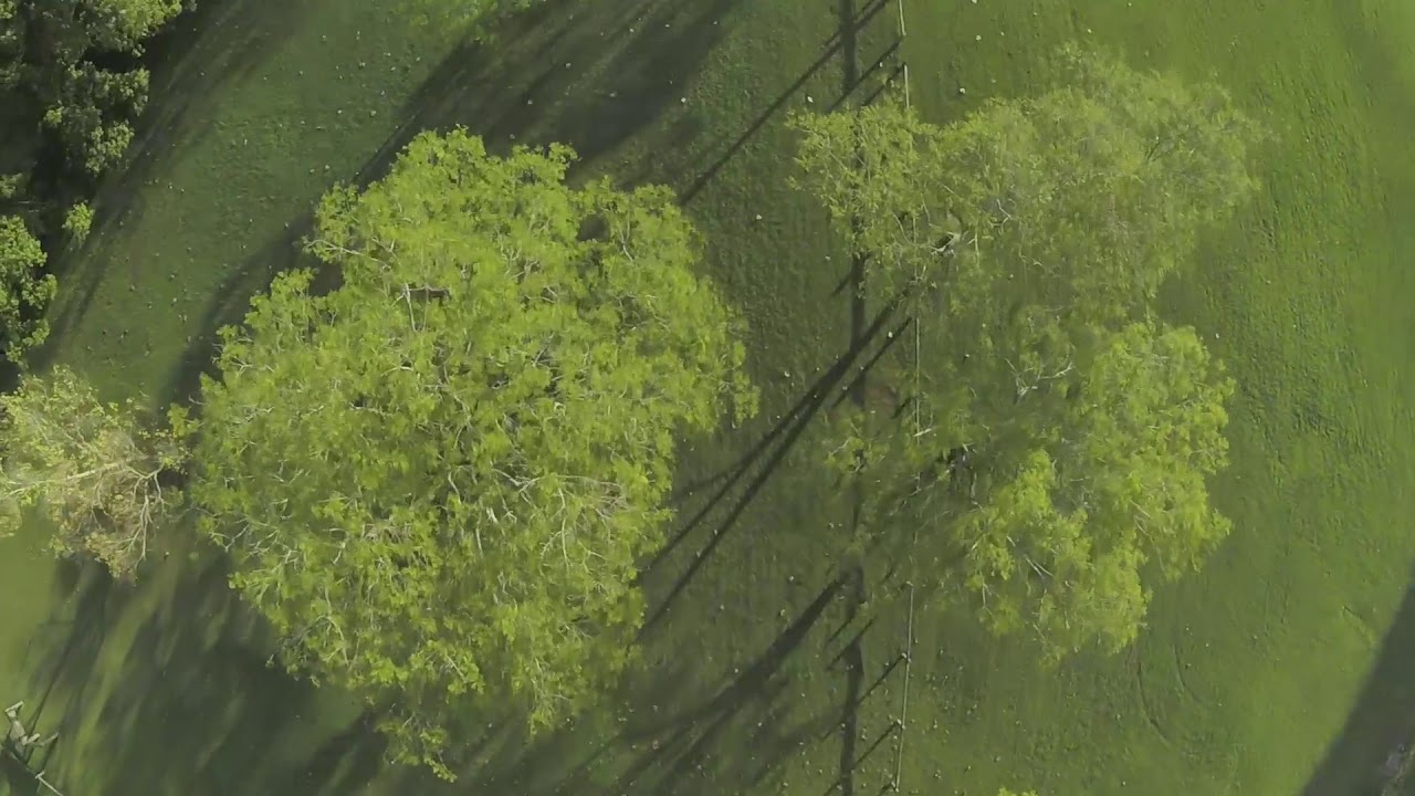 Bad Guy | TBS Source One | FPV Freestyle