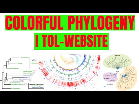 How to construct colorful Phylogenetic trees for research article | Lecture-3
