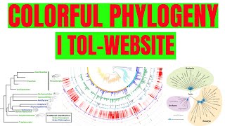 How to construct colorful Phylogenetic tree using iTOL screenshot 3