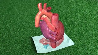 Interactive Learning with Augmented Reality | AR