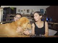 ママの悲鳴で助けにくる愛犬がイケメンすぎるw