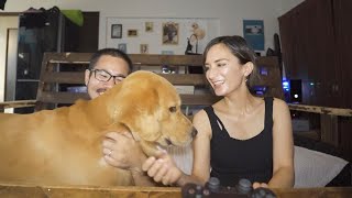 ママの悲鳴で助けにくる愛犬がイケメンすぎるw