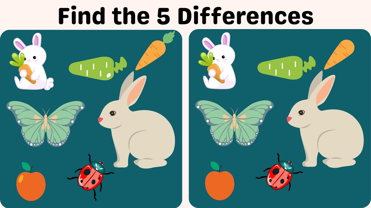 Spot the 5 Differences between the Images The Puzzle House YouTube