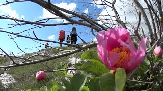 Крым. Детский поход. Май 2016. видео Активный отдых с детьми в Крыму на майские праздники 2017. Детский отдых в Крыму май 2017