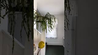 2 Family home for sale on Long Island, NY !!!