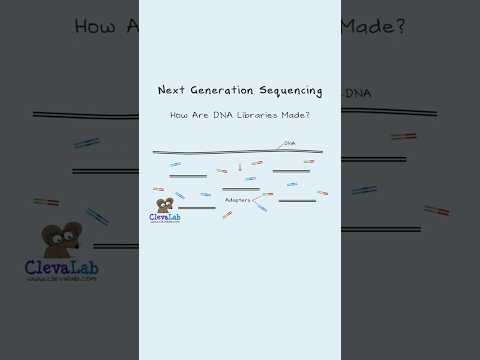 How are DNA Libraries Made for NGS?