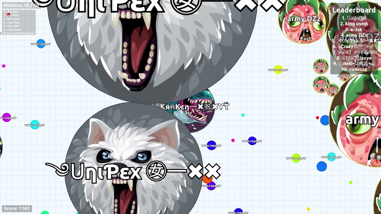 KraKenAgarioYT  10 FREE RAGA BOT TUTO