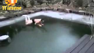 Donmuş Havuza Atlayan Adam