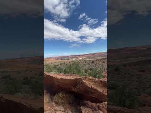 Blue skies and bike trails. #mtb #nature #bike