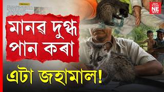 বনৰীয়া জন্তুক দুগ্ধপান এগৰাকী মহিলাৰ ! CBSEৰ পাঠ্যক্ৰমত কেনেকৈ আহিল জহামালৰ কাহিনী || Rommel কোন?