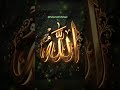 Aese 5 gunah jis se rizk ki barkat nhi rehti ☝️🕋❤️#shorts #viralvideo #tubashaikhshehzadi #allah