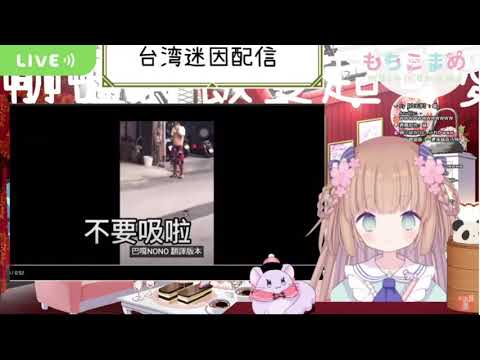 茸茸鼠看迷因學台語