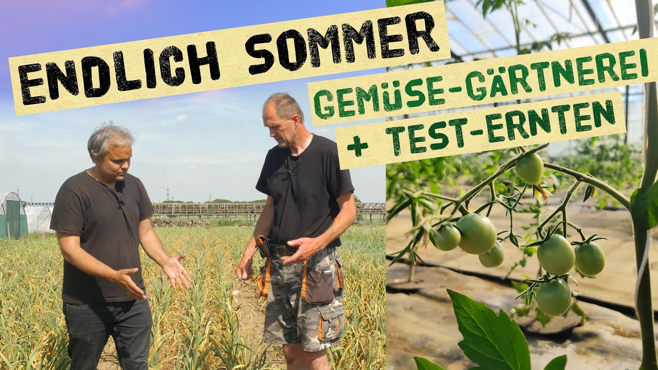 So habt ihr die Gartenoase Köln West noch nie gesehen Gemüsegarten