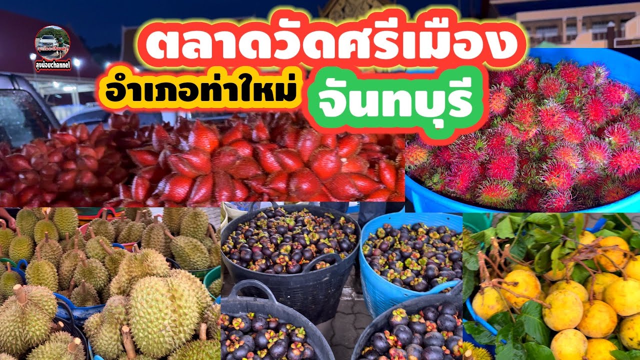 #ราคาทุเรียน #วัดศรีเมือง #อำเภอท่าใหม่ #จังหวัดจันทบุรี #ลุงน้อยchannel