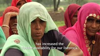 UNCCD Land For Life - 3 Mins