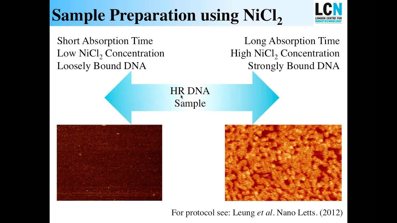 AFM | PeakForce Tapping: Enabling High Resolution Imaging of The DNA Double Helix | Bruker