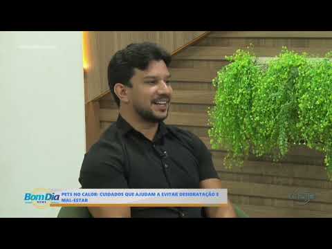 Pets no calor: cuidados que ajudam a evitar desidratação e mal estar